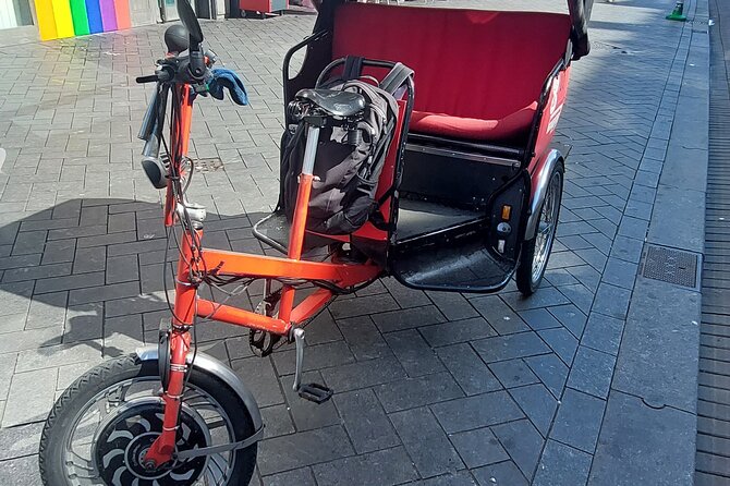 1 Hour Private Amsterdam Rickshaw Tour - Price and group size: what $120.41 buys you