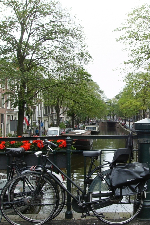 2.5-Hour Amsterdam Sightseeing Tour by Bike - Museum Square and Westerkerk Views by Bike