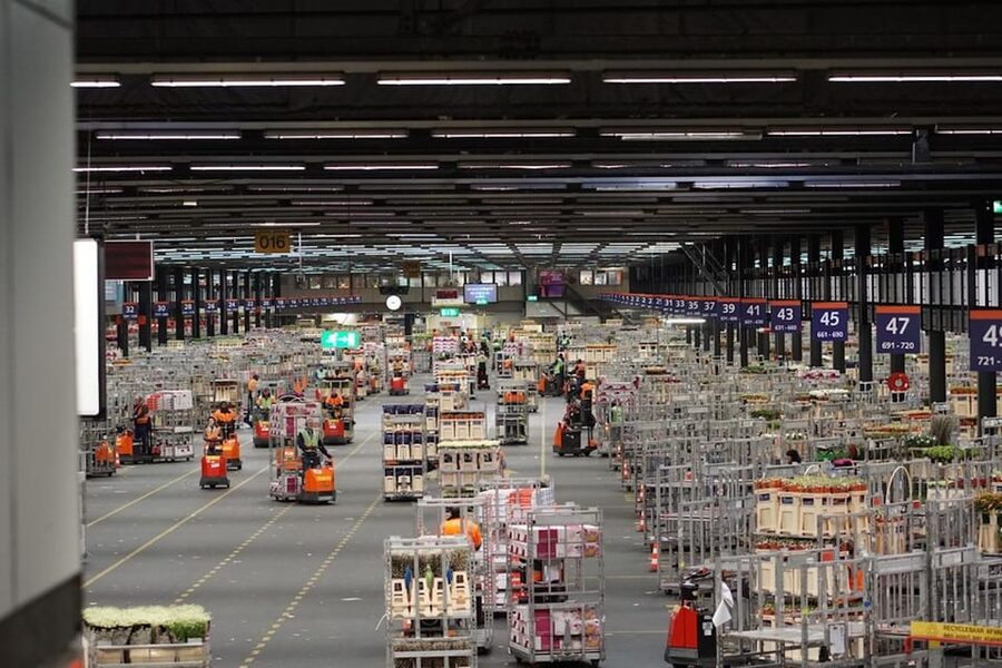 Aalsmeer: Flower Auction Royal Flora Holland Entry Ticket - Self-guided vs guided: the tradeoff you’re choosing
