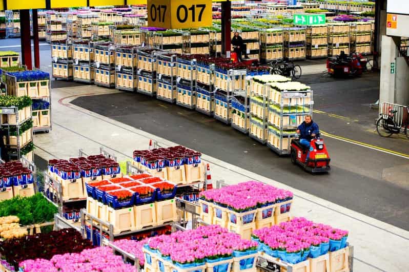 Aalsmeer: Flower Auction Royal Flora Holland Entry Ticket - The auction floor: what makes it so impressive