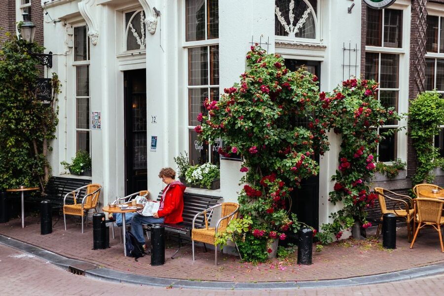 Amsterdam: 1.5-Hour Private Kick-Start Tour with a Local - Ask anything with a local: turning questions into real next steps