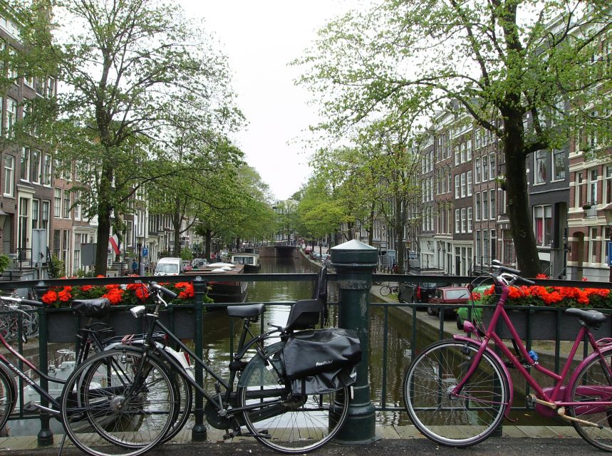 Amsterdam 1-Hour Rickshaw Tour - Wheelchair accessible, but still plan for street-level reality