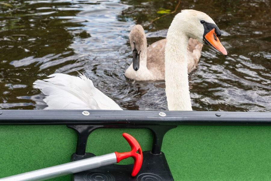 Amsterdam: 2-Hour Guided Canoe Trip - The Mid-Trip Drink and the Guide’s Garden Pause