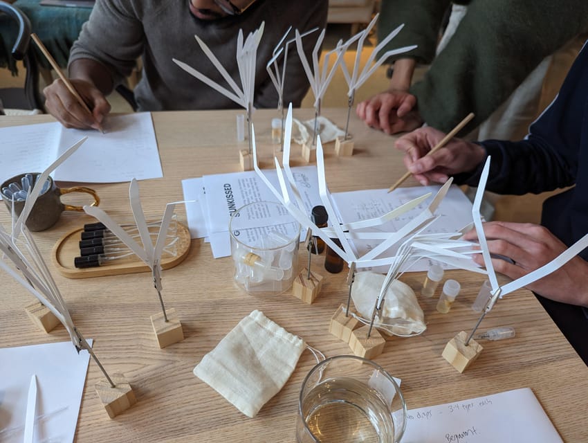 Amsterdam: 3-Hour Mindful Perfume-Making Workshop - The fun part: mindful experimental blending with 1:1 help