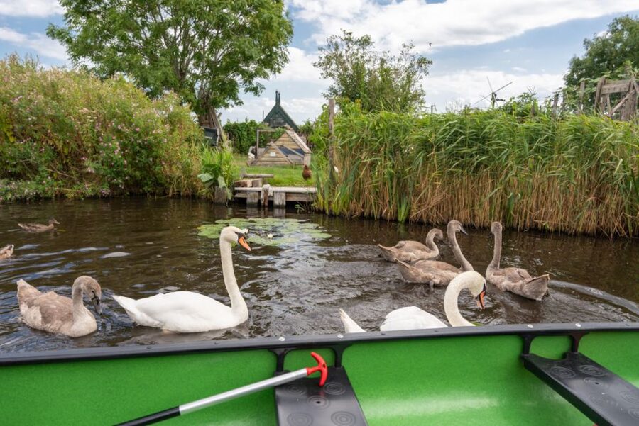 Amsterdam 5-Hour Guided Canoe Trip in the Wetlands - Small groups, real guiding, and why Majel matters