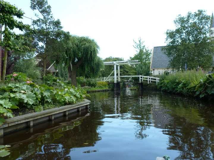 Amsterdam 5-Hour Guided Canoe Trip in the Wetlands - Why this 5-hour wetlands canoe feels like a real escape