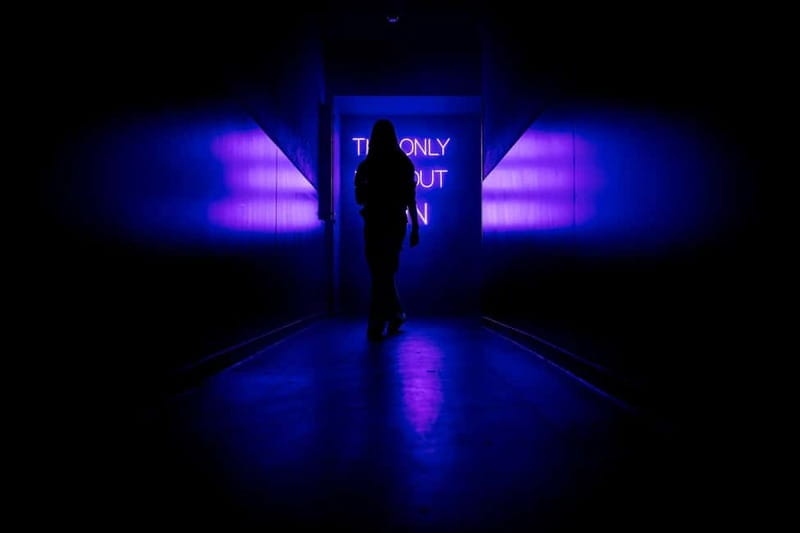 Amsterdam: AMAZE Immersive Audiovisual Experience Ticket - The AMAZE-Lounge Break: Why It Matters After the Lights