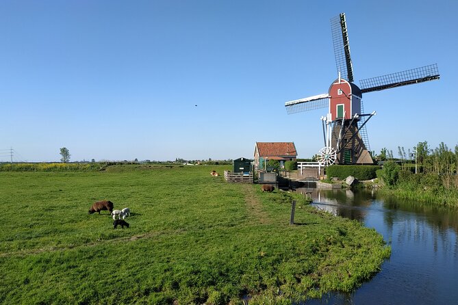 Amsterdam and Countryside Private Full-Day Tour by luxury car - Edam and Monnickendam: Cheese Towns with Breathing Space