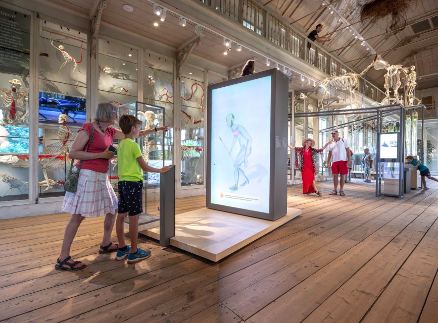 Amsterdam: ARTIS-Groote Museum Entry Ticket - Free audio tours: learning at your speed