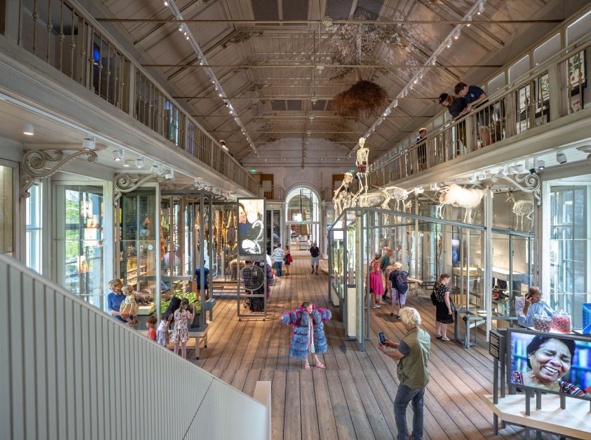 Amsterdam: ARTIS-Groote Museum Entry Ticket - Family-friendly planning, plus a reality check on size
