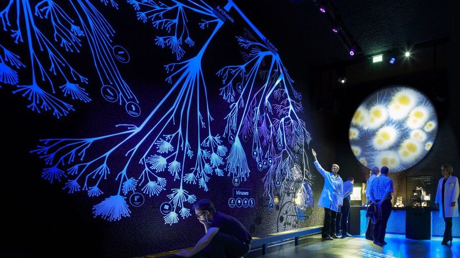 Amsterdam: ARTIS-Micropia Microbe Museum Entry Ticket - The “lab talk” rhythm at the Laboratorium