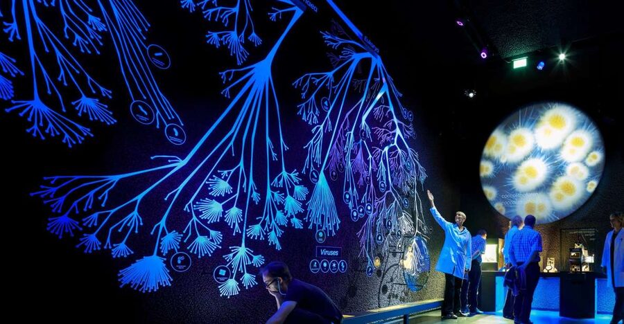 Amsterdam: ARTIS-Micropia Microbe Museum Entry Ticket - Micro Mission during Spring break: a kid-friendly science mission