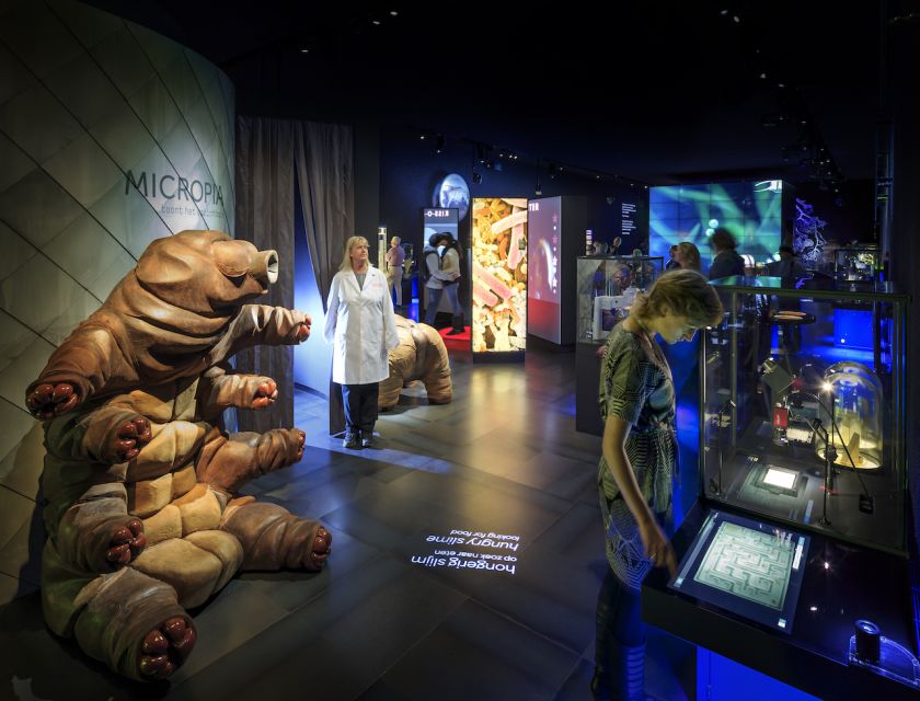 Amsterdam: ARTIS-Micropia Microbe Museum Entry Ticket - Pairing options at ARTIS: Groote Museum and the Zoo