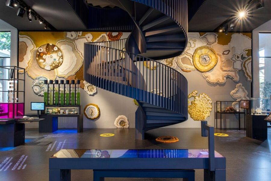 Amsterdam: ARTIS-Micropia Microbe Museum Entry Ticket - The ticket experience, timing, and how much time to budget
