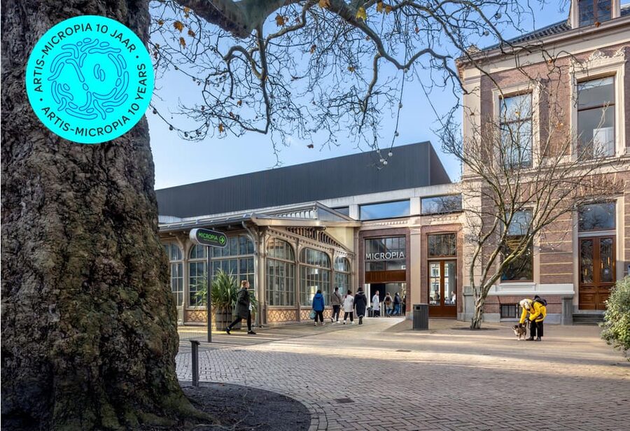 Amsterdam: Artis Royal Zoo & ARTIS-Micropia Combo Ticket - Micropia Time Slots: How to Keep Your Day from Feeling Split