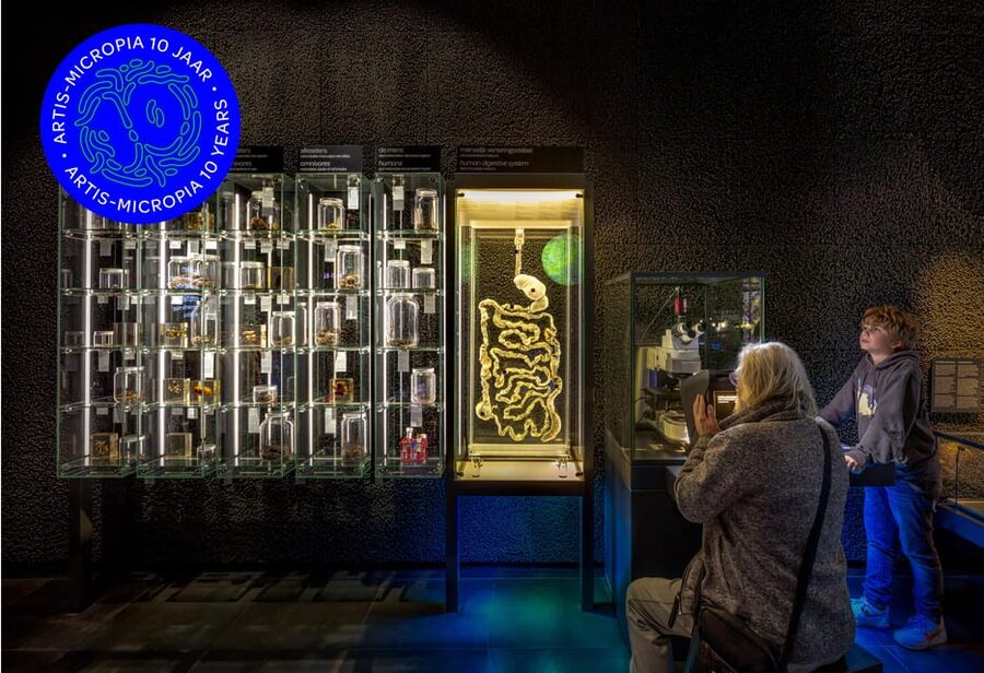 Amsterdam: Artis Royal Zoo & ARTIS-Micropia Combo Ticket - Planetarium Included: A Useful Break on Rainy or Slower Moments