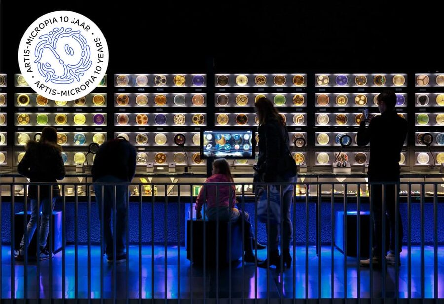 Amsterdam: Artis Royal Zoo & ARTIS-Micropia Combo Ticket - Zoo Strategy: How to Plan for Elephants, Big Cats, and the Planetarium