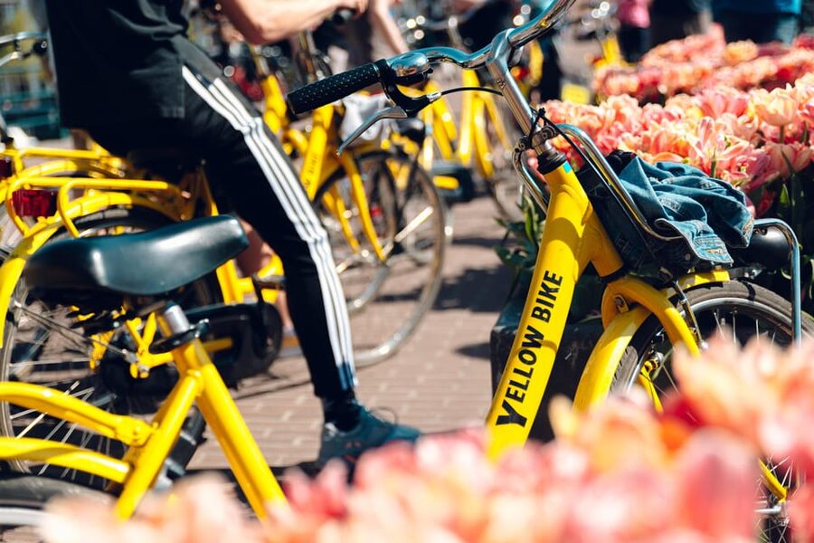 Amsterdam Bike Rental: Central Station & City Center - Key points at a glance