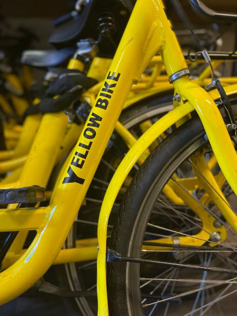 Amsterdam Bike Rental: Central Station & City Center - Should you book this Amsterdam bike rental?