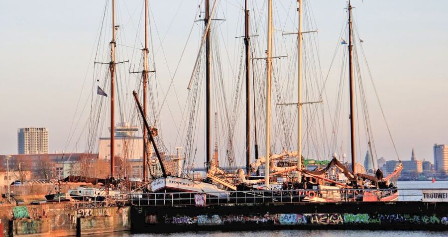 Amsterdam: Bike Tour (Noord) in German or English - Vogeldorp and W.H. Vliegenbos: gentle village charm and greenery