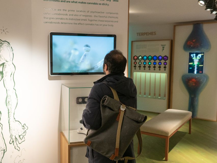 Amsterdam: Cannabis Museum Entry Ticket - Key highlights you should know before you go