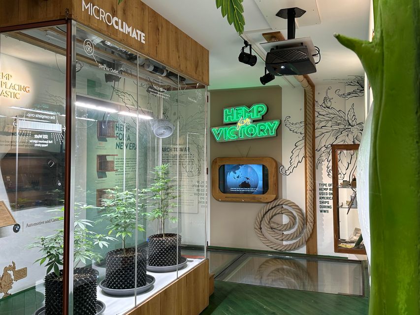 Amsterdam: Cannabis Museum Entry Ticket - Amsterdams Cannabis Museum, and why $14 feels fair