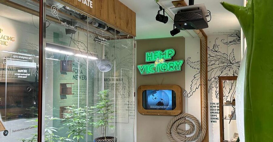 Amsterdam: Cannabis Museum Entry Ticket - Live plants, microscope, and a cannabis testing machine