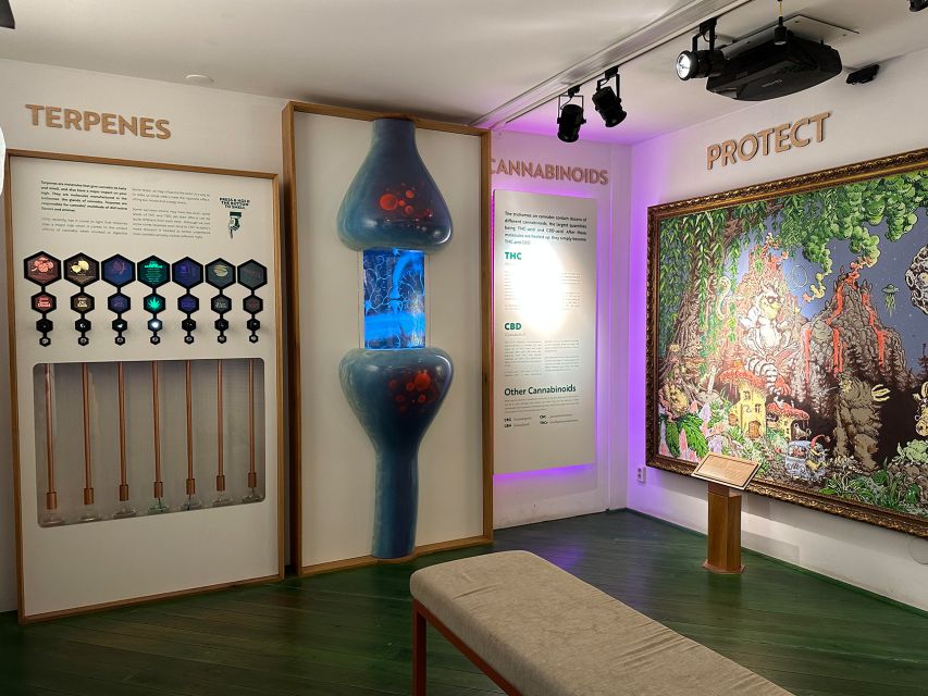 Amsterdam: Cannabis Museum Entry Ticket - Value check: what you really get for a 45-minute visit