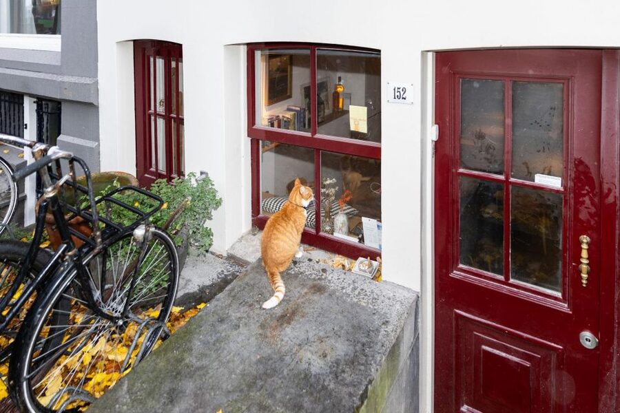 Amsterdam Central Walking Tour - Westertoren and the Red Light District: Two Sides of Respect