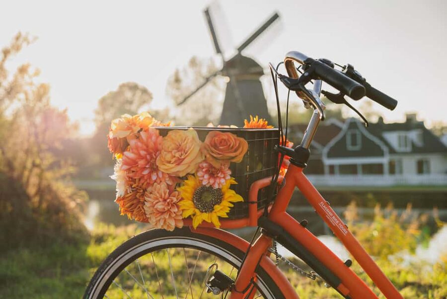 Amsterdam: Cheese, Windmill & Countryside Bike Tour - Guides, Group Energy, and What You’ll Learn
