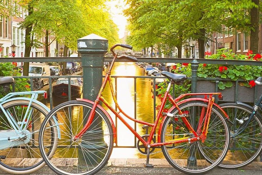 Amsterdam City Center Guided Walking Tour - 12 guests 2,5h - Key takeaways