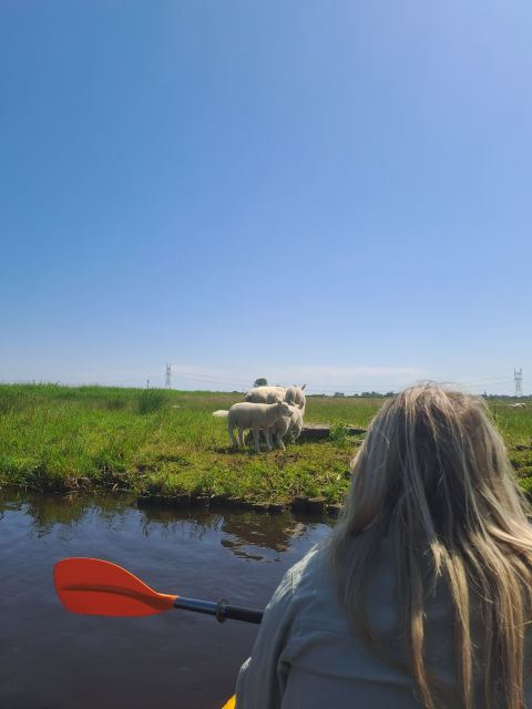 Amsterdam: Countryside Bike and Kayak Guided Tour - Key highlights (the stuff that matters day-of)