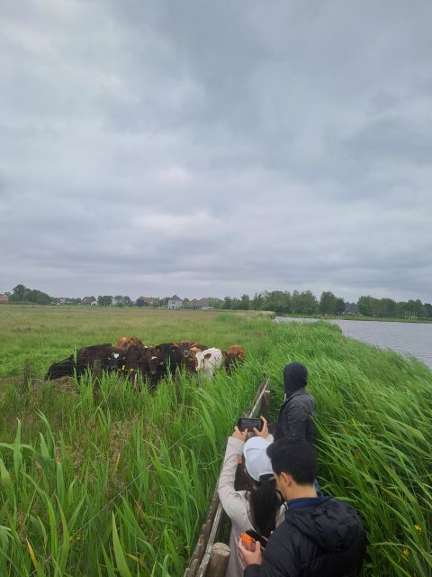 Amsterdam: Countryside Bike and Kayak Guided Tour - From A’DAM Lookout to d’Admiraal Windmill: the first wow