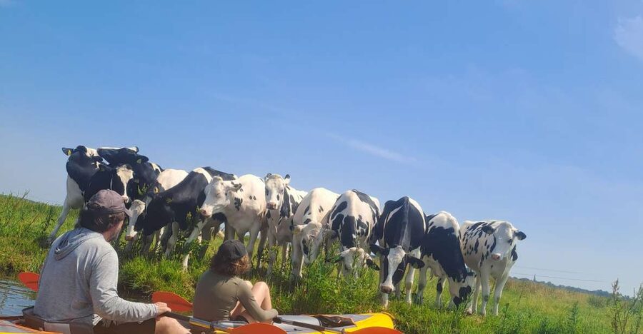Amsterdam: Countryside Bike and Kayak Guided Tour - Kayaking Broek in Waterland: calm water, wildlife by your side