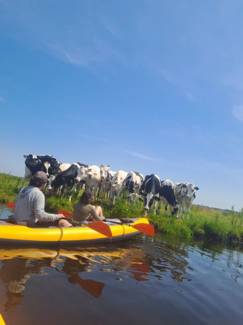 Amsterdam: Countryside Bike and Kayak Guided Tour - Amsterdam-Noord return ride: close with fresh eyes