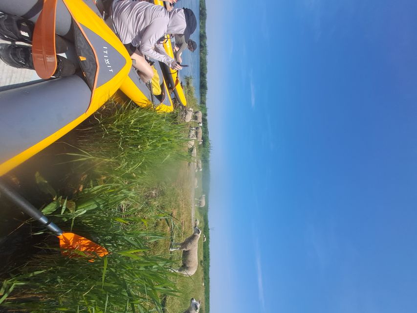Amsterdam: Countryside Bike and Kayak Guided Tour - Who should book this bike and kayak day trip (and who should skip)