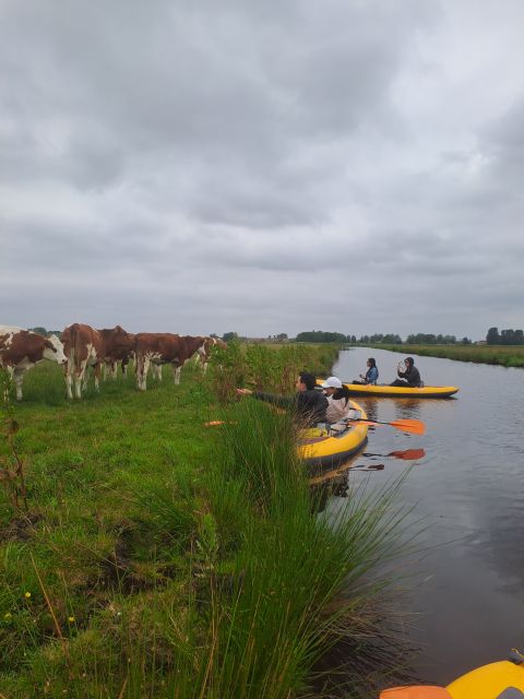 Amsterdam: Countryside Bike and Kayak Guided Tour - The bike ride out of Amsterdam: easy pace, real country views