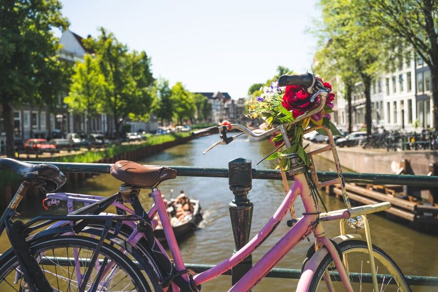 Amsterdam: Countryside Bike Tour - Buiksloterweg and the return flow: keep an eye on bike path changes