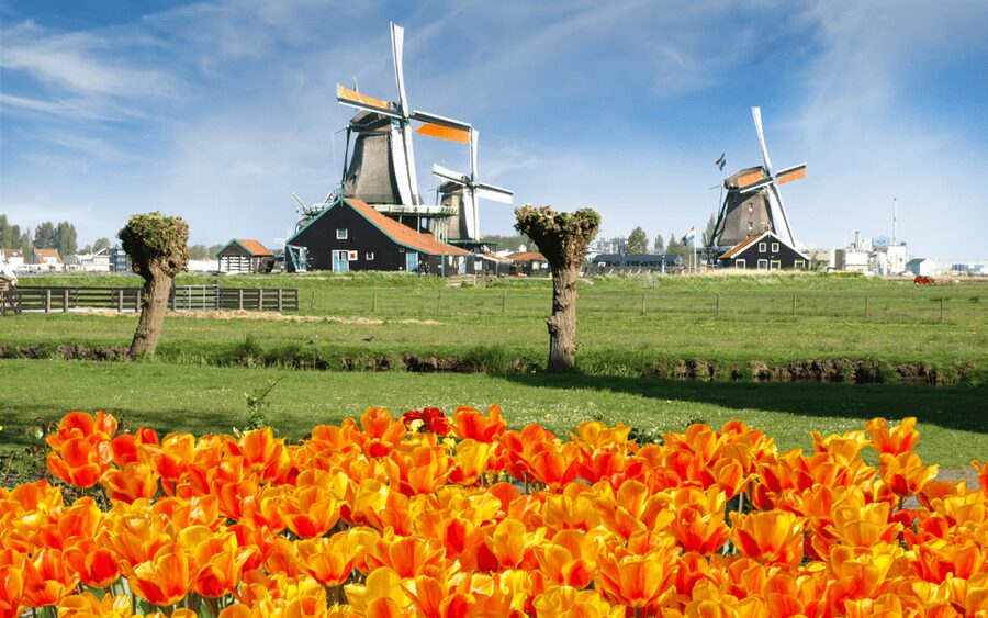 Amsterdam: Day Tour Keukenhof and Zaanse Schans Windmills - Meeting at This is Holland: The Ferry Shortcut Matters