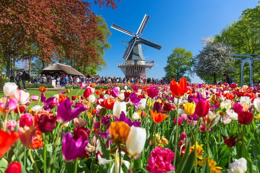 Amsterdam: Day Tour Keukenhof and Zaanse Schans Windmills - Cheese and Clogs: The Included Dutch Craft Stops