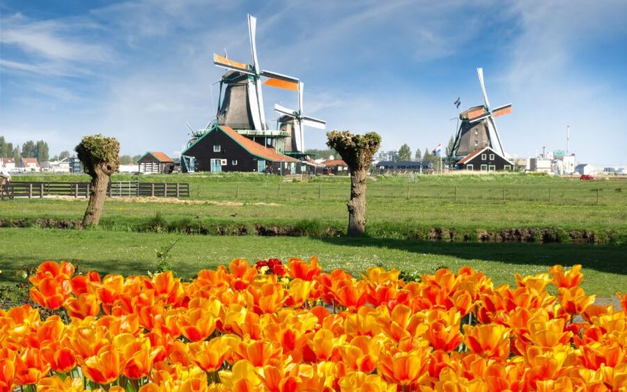 Amsterdam: Day Tour Keukenhof and Zaanse Schans Windmills - Keukenhof Entrance and Planning Your 4 Hours (Plus more)