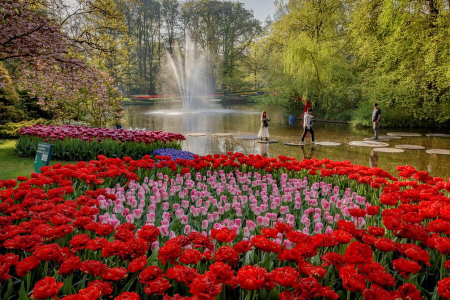 Amsterdam: Day Tour Keukenhof and Zaanse Schans Windmills - Crowds, Weather, and Tulip Timing: What Can Affect Your Day