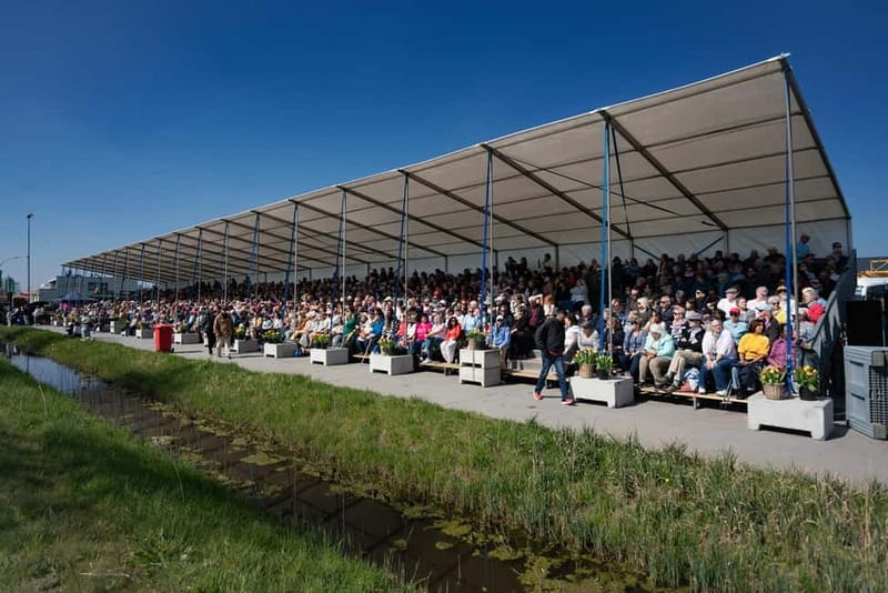 Amsterdam: Day Trip to Flower Parade & Keukenhof on April 18 - The Flower Parade: What to watch for, and how to make it pay off