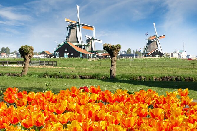 Amsterdam: Day Trip to Keukenhof & Zaanse Schans Windmills - Key takeaways before you go