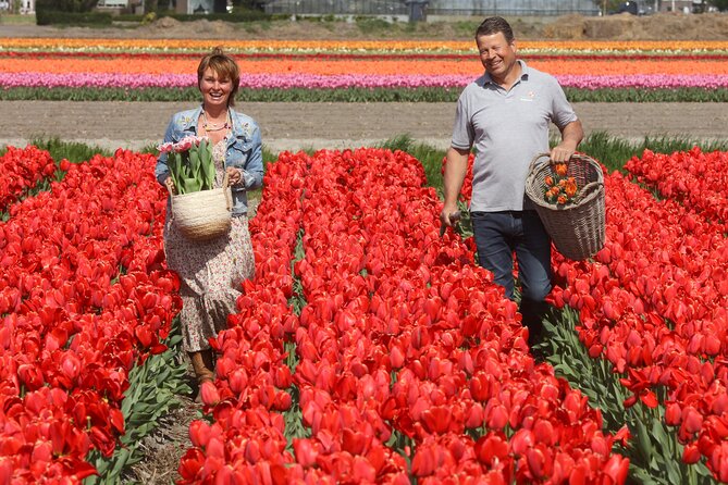 Amsterdam: Day trip to Tulip Farm, Keukenhof + Windmill Cruise - Starting at This is Holland, and why the ferry tip matters
