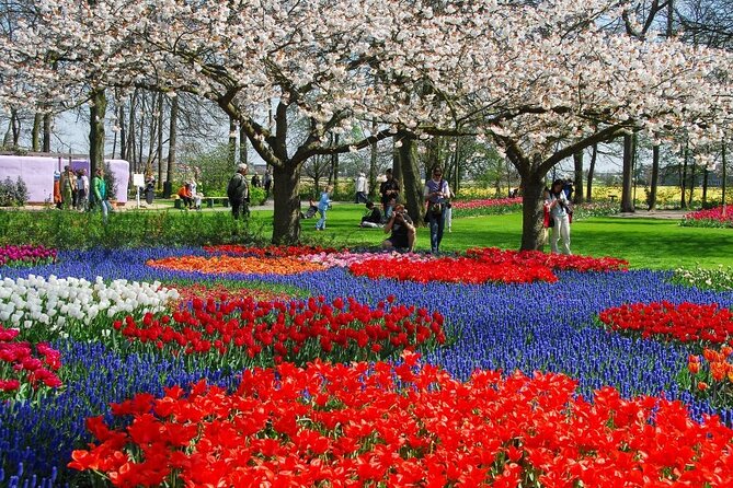 Amsterdam: Day trip to Tulip Farm, Keukenhof + Windmill Cruise - Keukenhof Gardens: seven million bulbs, crowd reality, and when to move