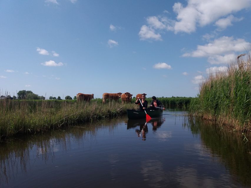 Amsterdam: Dutch Countryside Sunset Canoe Tour - Optional Lake Swim on Warmer Nights