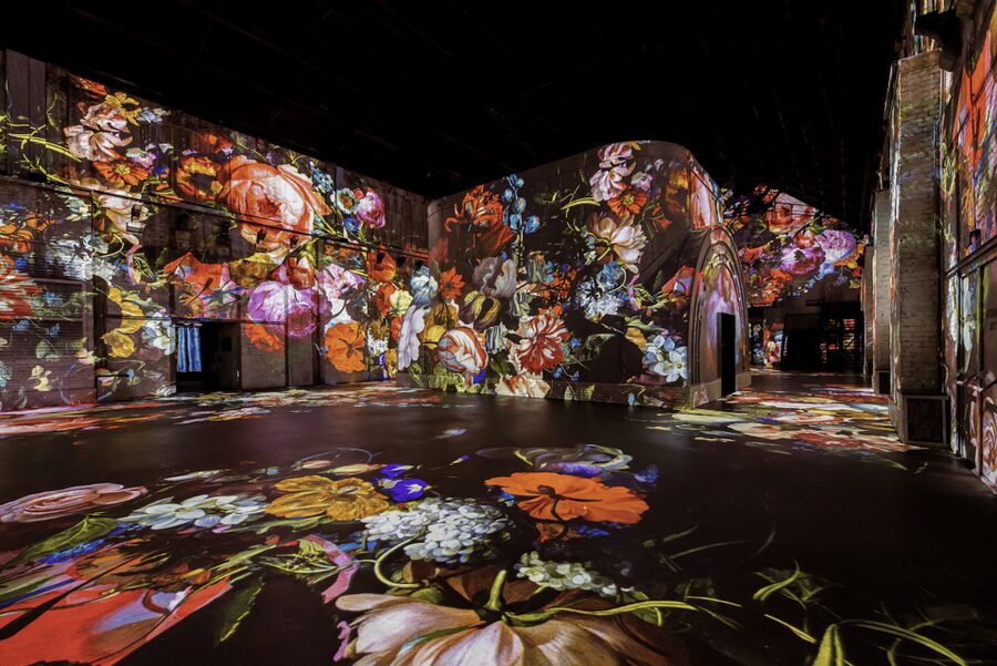 Amsterdam: Fabrique des Lumières Dutch Masters Ticket - Best for who, and not ideal for who