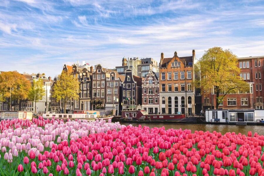 Amsterdam Family Friendly Historical Walking Tour - Former Jewish Quarter highlights: Rembrandt House, Spinoza, and opera culture