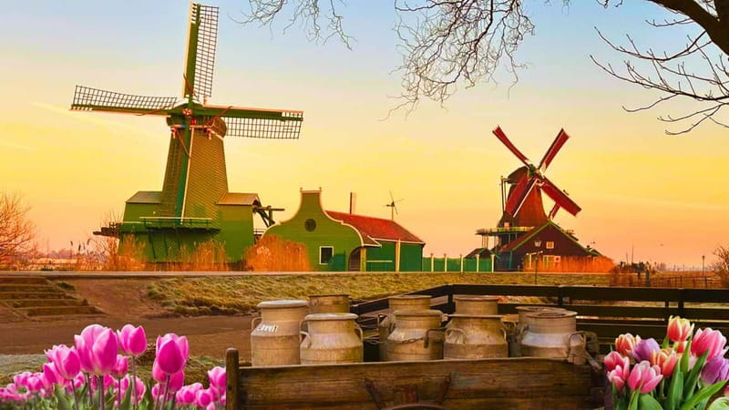 Amsterdam: Giethoorn & Zaanse Schans Small Group Day Trip - Small group comfort, plus the David factor